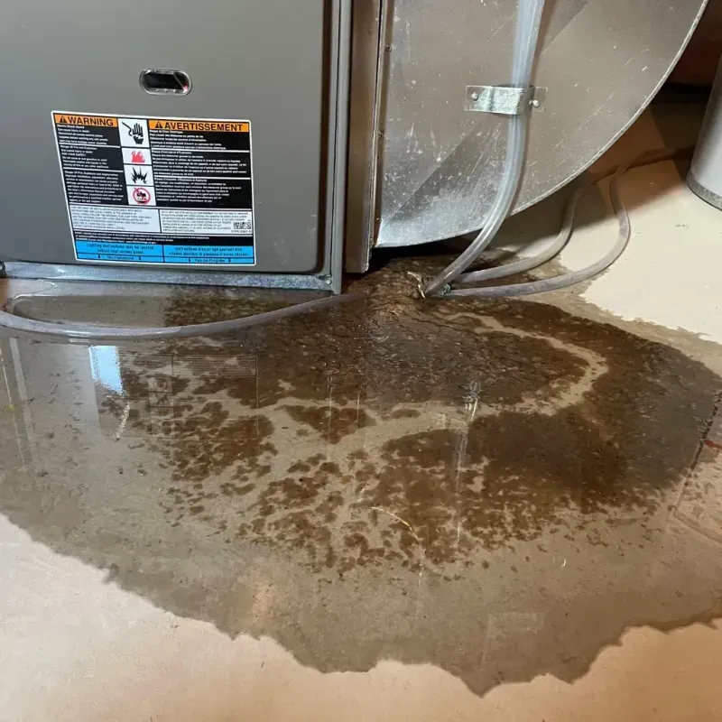 Appliance Leak Cleanup in Faribault, MN